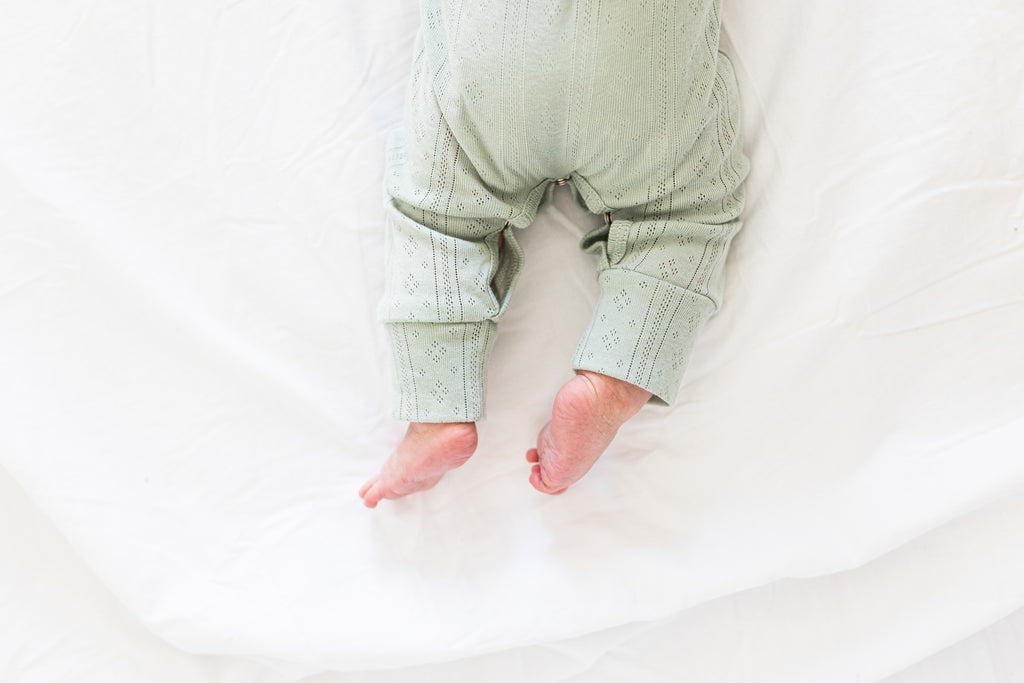 Pointelle Knit bodysuit – The Velveteen Rabbit